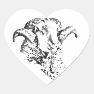 Adesivo Coração Carneiro Funky Fofo