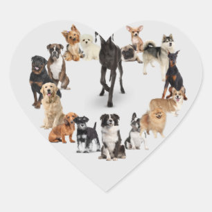 Adesivo Coração Cartão-postal de caça aos animais de criação d