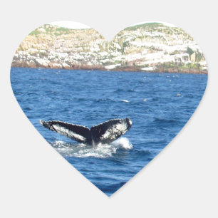 Adesivo Coração Cauda da baleia de Humpback