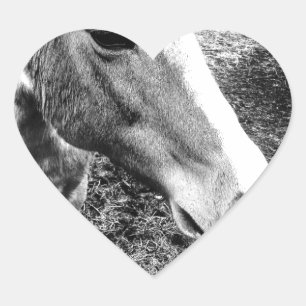 Adesivo Coração Cavalo
