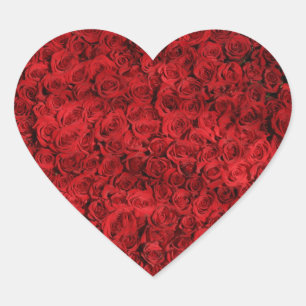 Adesivo Coração Centenas de rosas vermelhas bonitas
