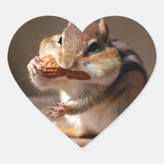 Adesivo Coração Chipmunk Enrolando Sua Cara