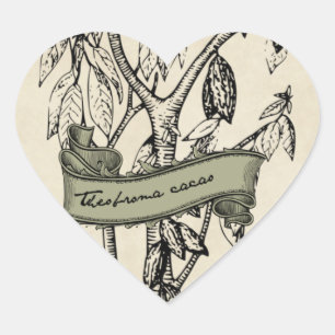 Adesivo Coração Chocolate cru do cacau do Theobroma do vintage