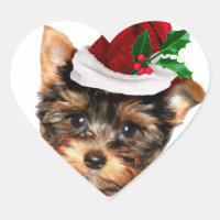 Chrismtas Yorkshire Terrier cachorrinho