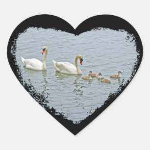 Adesivo Coração Cisne muda Famly