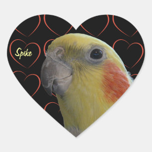 Adesivo Coração Cockatiel bonito e corações