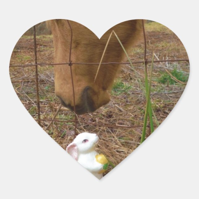 Adesivo Coração coelhinho de cavalo e Primavera (Frente)