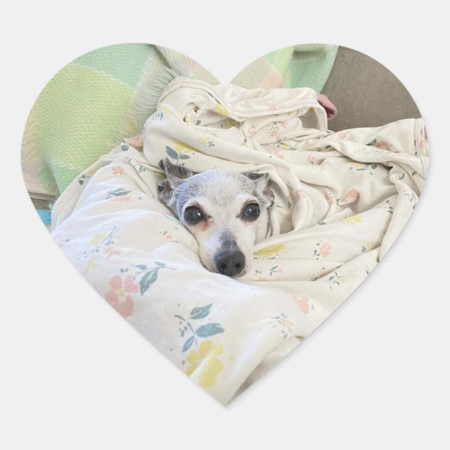 Adesivo Coração colante cardíaco aconchegante (Frente)