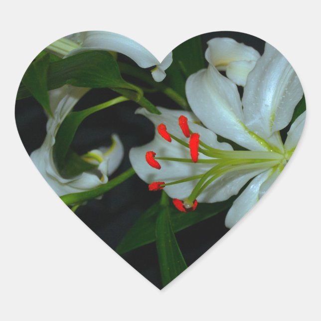 Adesivo Coração Coleção de Design e Flores irlandesas (Frente)