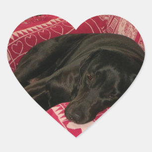 Adesivo Coração Coletor de Cão Sonolento