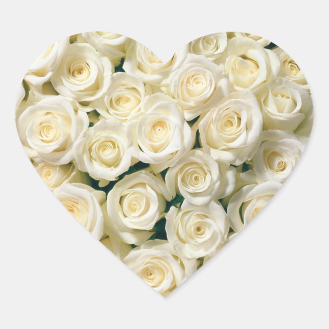Adesivo Coração Coração de Stickers-Rosas Brancas (Frente)