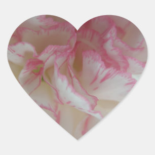 Adesivo Coração Coração do Cravo Branco e Rosa