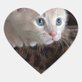 Adesivo Coração Creme Kitten com Belos Olhos Azuis