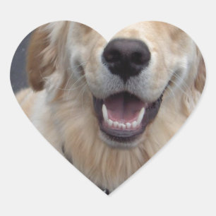 Adesivo Coração Criar suas próprias expressões!  Ferramentas