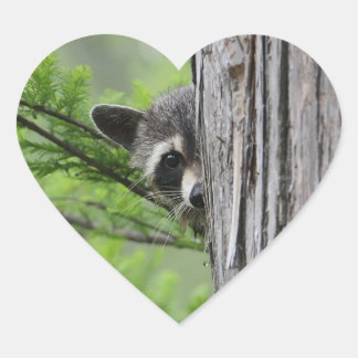 Adesivo Coração Cute Raccoon