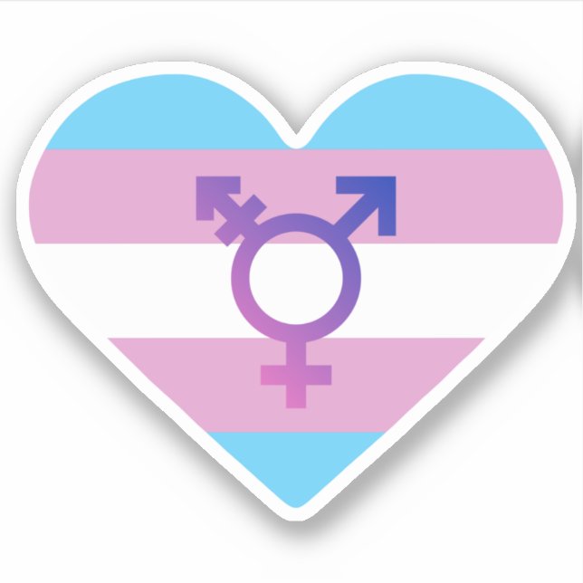 Adesivo Coração da Bandeira do Orgulho Trans (Frente)