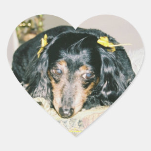 ADESIVO CORAÇÃO DACHSHUND HEART STICKERS - FOLHA 20 - PRESENTES