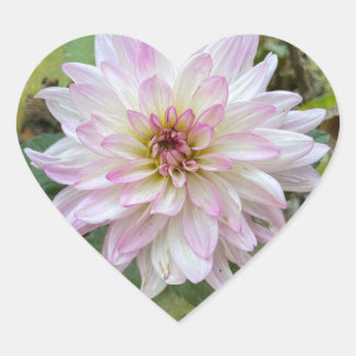 Adesivo Coração Dália com Pontas Rosa Claro