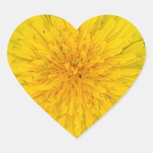Adesivo Coração Dandelion