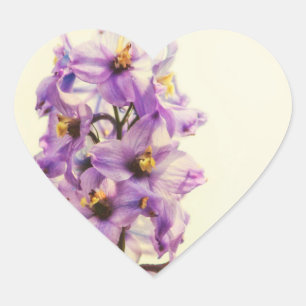 Adesivo Coração Delphinium roxo de Larkspur