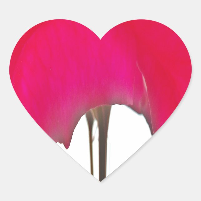 Adesivo Coração Design de Rosa vermelha maravilhosa (Frente)