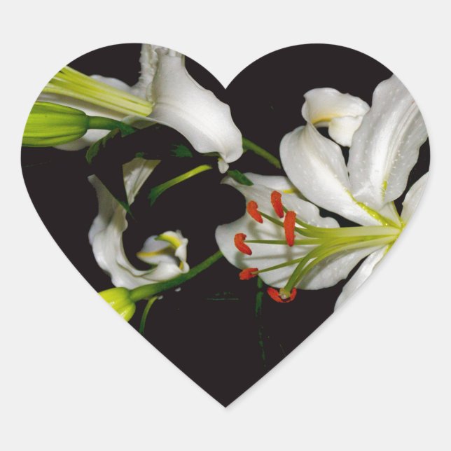 Adesivo Coração Design irlandês - Coleção de latas e flores (Frente)