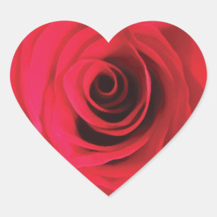 Adesivo Coração Detalhe da flor de rosa vermelha