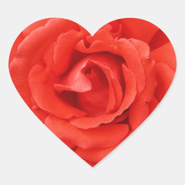 Adesivo Coração Dia de os namorados rosa vermelha (Frente)