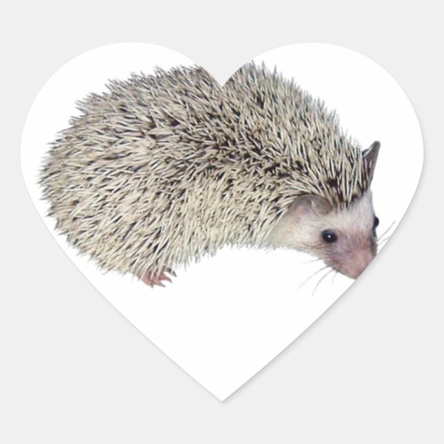 Adesivo Coração DIY Hedgehog direito (Frente)