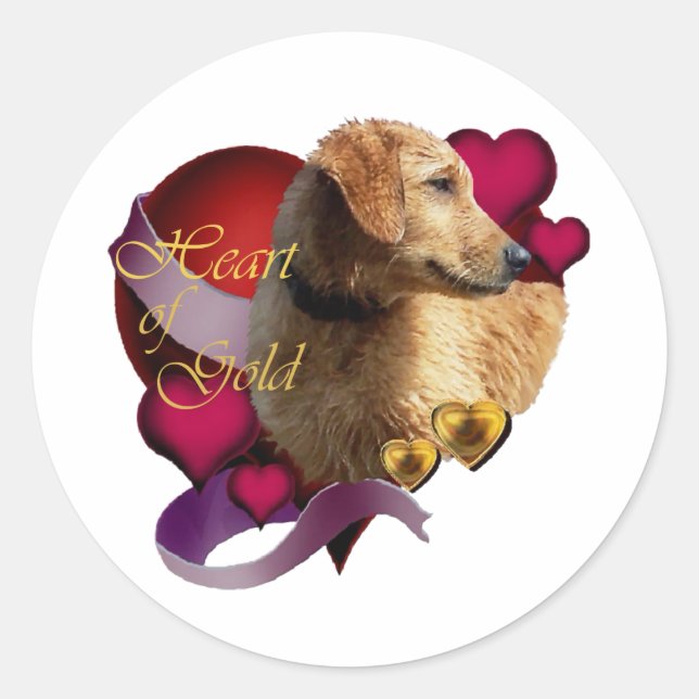 Adesivo Coração do ouro Retriever de Dourado (Frente)