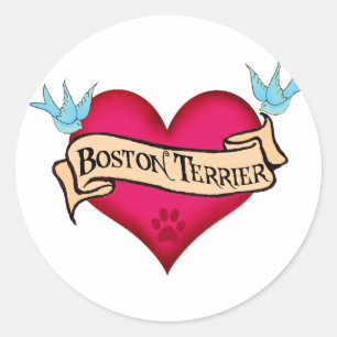 Adesivo Coração do tatuagem de Boston Terrier