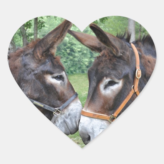 Adesivo Coração Donkeys apaixonado (Frente)