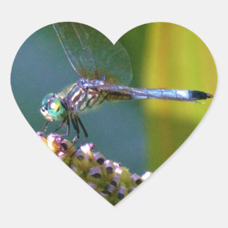 Adesivo Coração Dragonfly de olhos lacrimejados