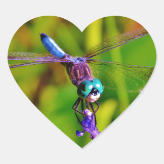 Adesivo Coração Dragonfly e flor