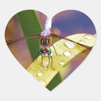 Adesivo Coração Dragonfly na folha de chuva
