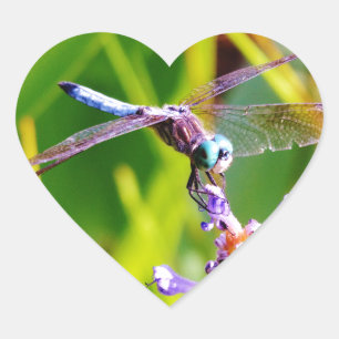 Adesivo Coração Dragonfly Teal & Purple