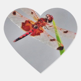 ADESIVO CORAÇÃO DSC00029.JPG