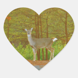 ADESIVO CORAÇÃO DSCF4041.JPG