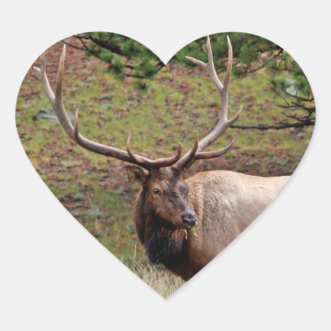 Adesivo Coração Elk Heart Sticker (Frente)
