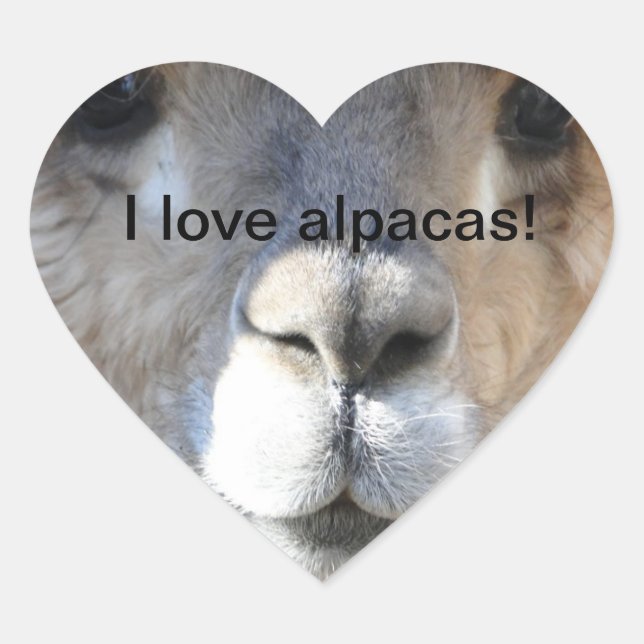 Adesivo Coração Eu adoro alpacas! (Frente)