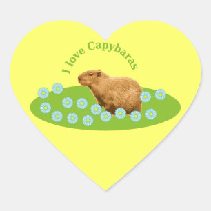 Adesivo Coração Eu amo Capybaras