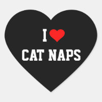 EU AMO GATOS NAPES