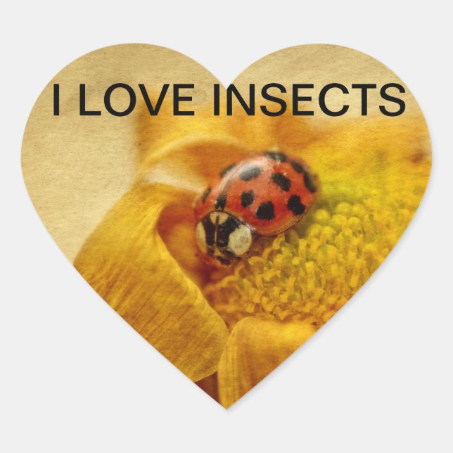 Adesivo Coração Eu amo joaninhas (Frente)