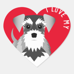 Adesivo Coração Eu amo meu Schnauzer diminuto