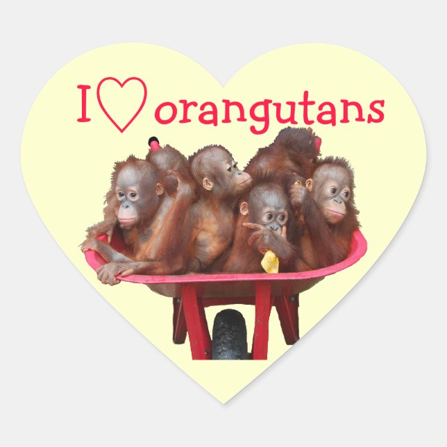 Adesivo Coração Eu Amo Orangutanos (Frente)