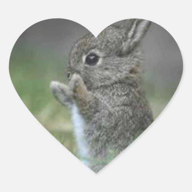 ADESIVO CORAÇÃO EU CORAÇÃO BUNNYS (Frente)