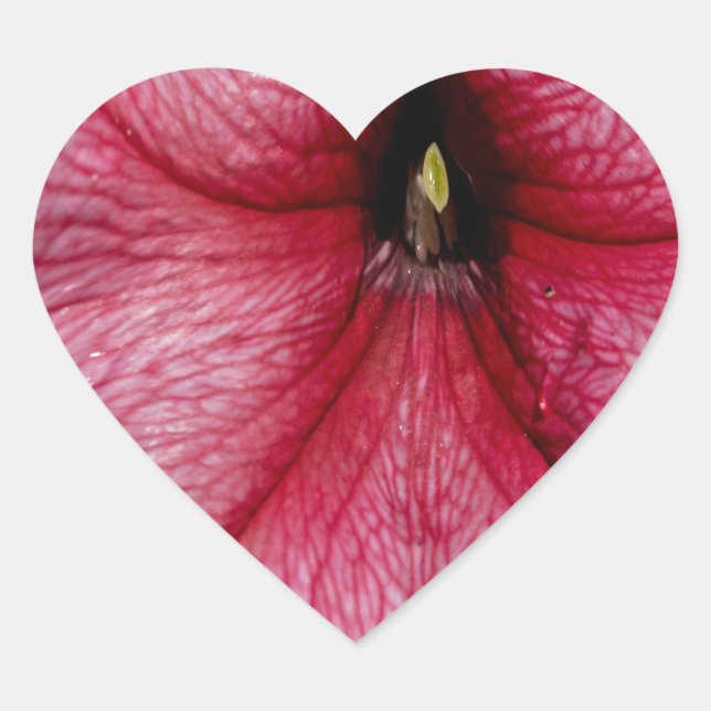 Adesivo Coração Explosão Floral (Frente)