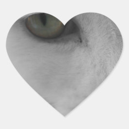 Adesivo Coração Face de gatos brancos e pretos