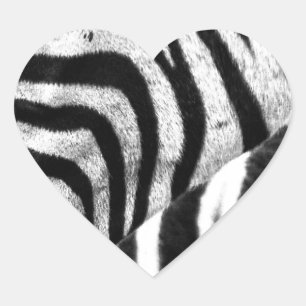 Adesivo Coração Face Zebra