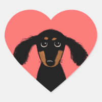 Filhote de Dachshund Fofo de Cabelo Longo